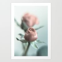 a-pink-rose-for-your-sweetheart-prints