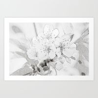 cherry-blossom-efx-prints